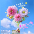 岁岁红