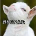 何必猜想