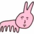 袋中兔