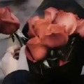 风暖