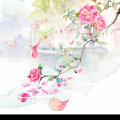 年悦