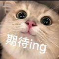 唐无忧