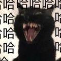 鸡腿猫