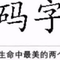 兜兜缺钱