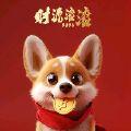 郑琬琰