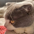 微莹