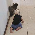 绯烟辞