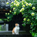 盐如雪