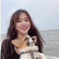 小鹿鹿城呀