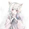 会飞的猫耳朵