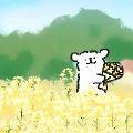 月亮OK