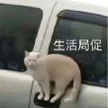 时南赴北