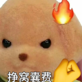 应景