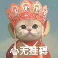 不爱睡觉的瓶子