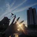 知意枝