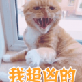 李兔叽