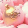 黄金小猪