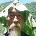 丧野
