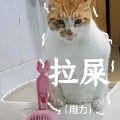 有贝