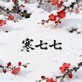 寒七七