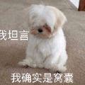 霜月