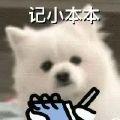 菟子家里的猫