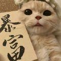 豆包睡不醒