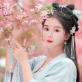 梅归隐