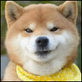 福气小葵