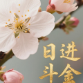 锦渌棠