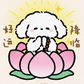 雪行大运