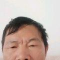 诸葛震天