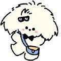 茶多多