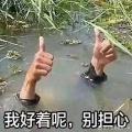 叶想