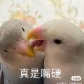 小E开大G