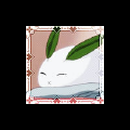 秋宝宝宝阳