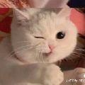 酿酒煮茶
