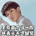 西西里河的小蝌蚪