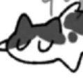 乐天猫