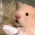 璘之树