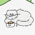鱼绮