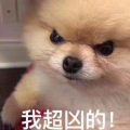 夏日暖萤
