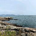 小沧沧