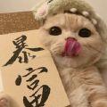 猫枝吖